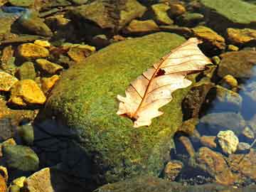 香港開獎(jiǎng)+澳門開獎(jiǎng),數(shù)據(jù)驅(qū)動(dòng)策略設(shè)計(jì)_zShop63.901